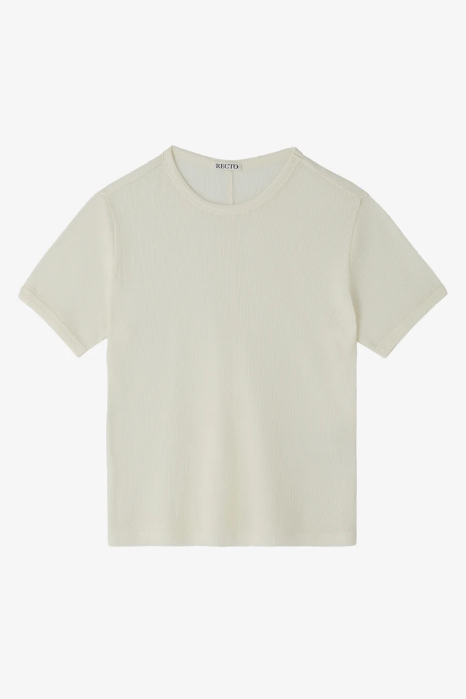 CASHMERE BLEND FITTED T-SHIRT_商品画像