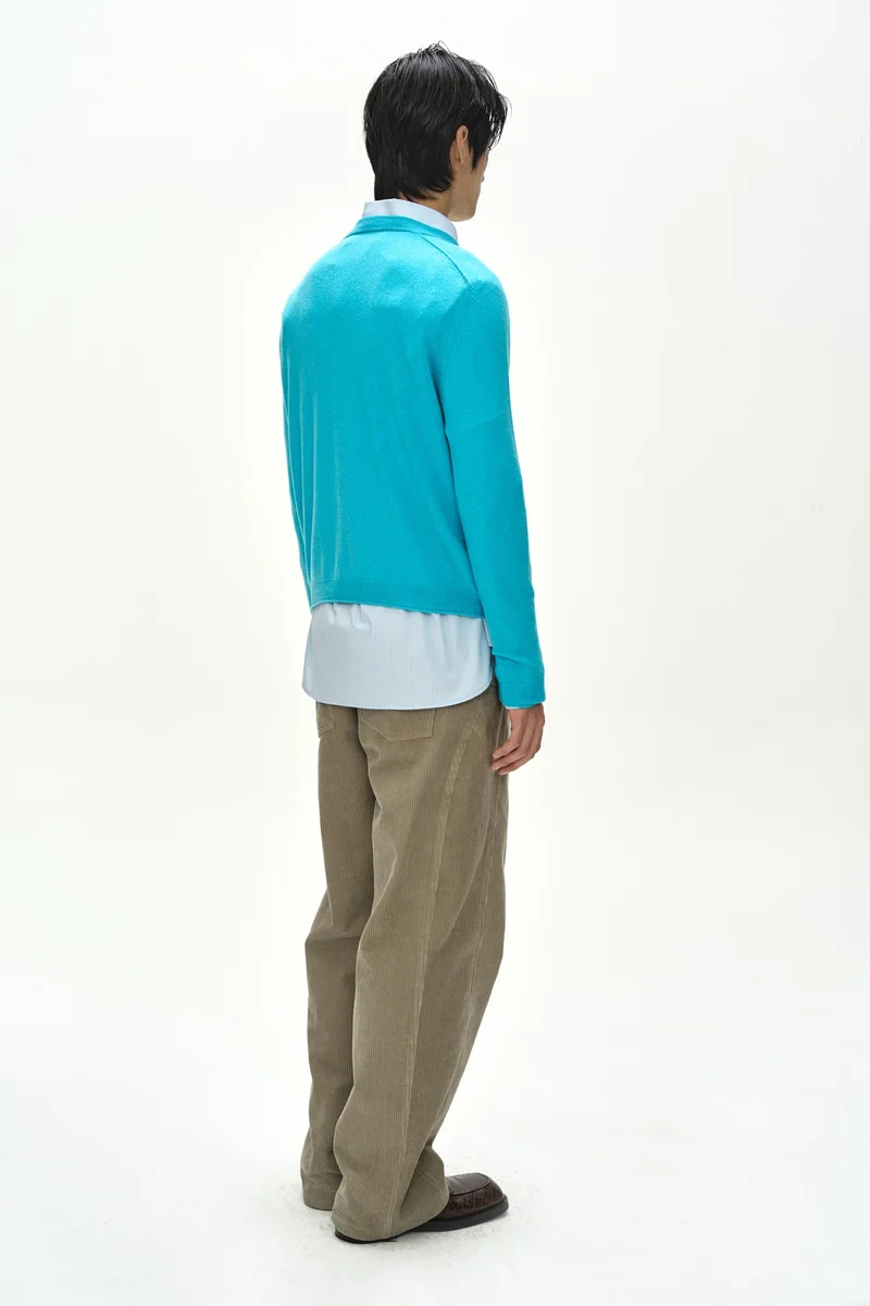 SHANE CASHMERE CREW-NECK CARDIGAN 2